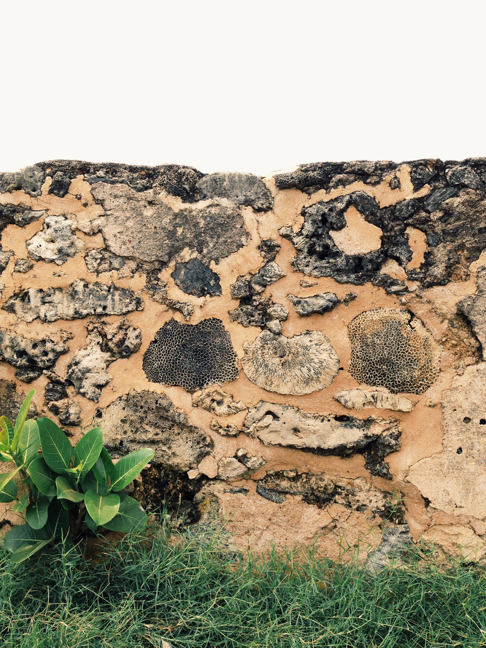 Weathered wall